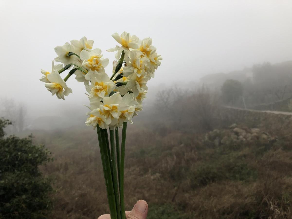 Lanzaroco, Tu Casa En La Vera Valverde de la Vera Zewnętrze zdjęcie